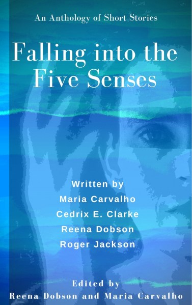 Falling into the Five Senses jpeg cover_final2